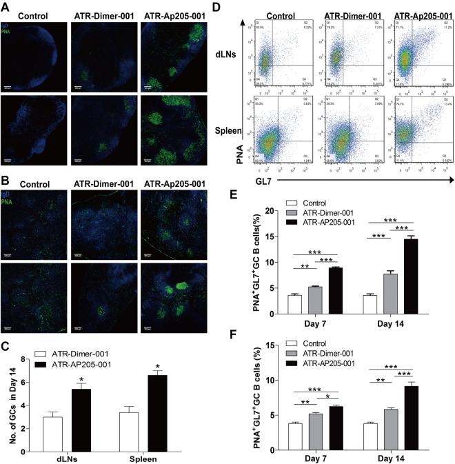 https://cdn.ncbi.nlm.nih.gov/pmc/blobs/246f/5626684/8d602eb3d60f/41598_2017_12996_Fig6_HTML.jpg