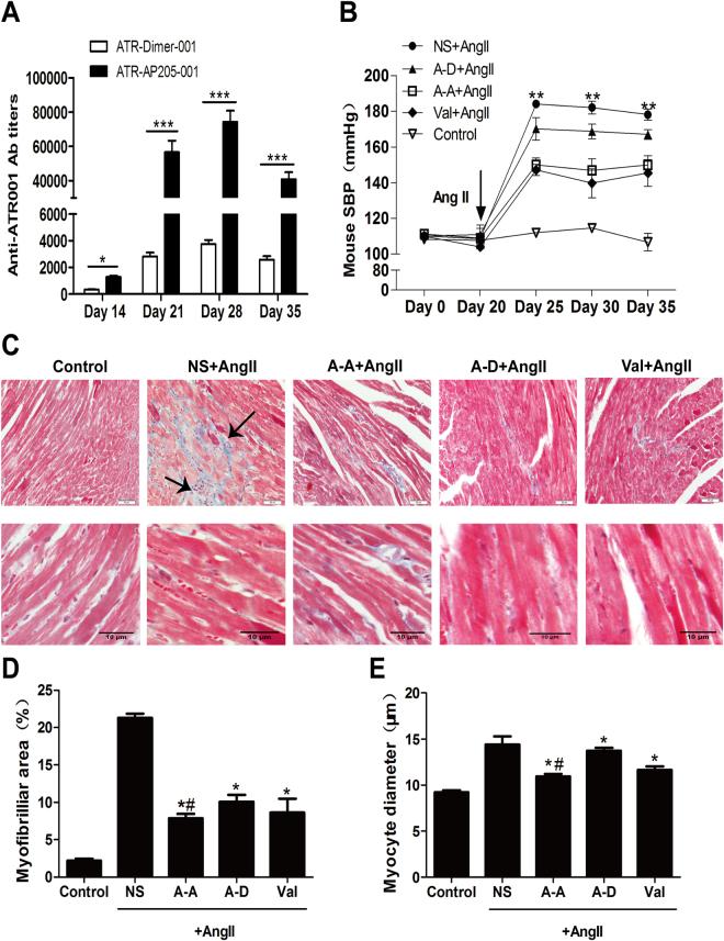 https://cdn.ncbi.nlm.nih.gov/pmc/blobs/246f/5626684/a95c16482bb4/41598_2017_12996_Fig1_HTML.jpg