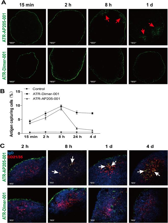 https://cdn.ncbi.nlm.nih.gov/pmc/blobs/246f/5626684/c2035d541f4e/41598_2017_12996_Fig2_HTML.jpg