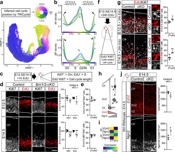 https://cdn.ncbi.nlm.nih.gov/pmc/blobs/2470/11399407/46714d8b516e/41467_2024_52443_Fig2_HTML.jpg