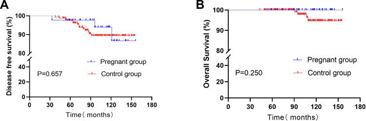 https://cdn.ncbi.nlm.nih.gov/pmc/blobs/2470/7894832/7db7b3ba43ad/CMAR-13-1505-g0004.jpg