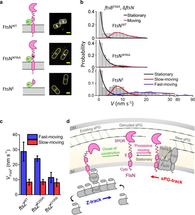 https://cdn.ncbi.nlm.nih.gov/pmc/blobs/2470/9525312/580fee7b9b48/41467_2022_33404_Fig4_HTML.jpg