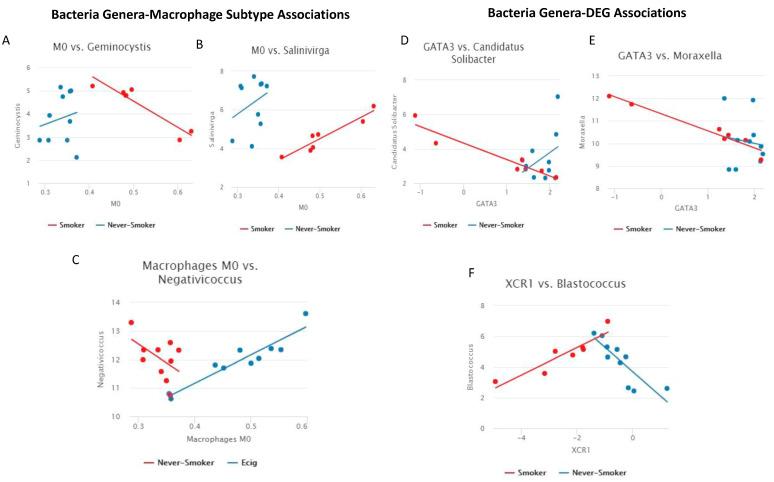 https://cdn.ncbi.nlm.nih.gov/pmc/blobs/2475/10303504/54d5e7165aa2/microorganisms-11-01405-g004.jpg