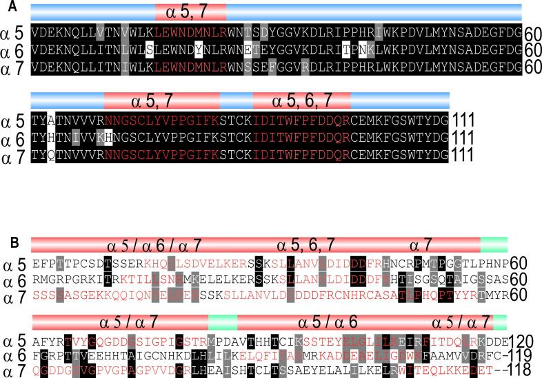 https://cdn.ncbi.nlm.nih.gov/pmc/blobs/2478/9110030/8e4cd9e6592d/elife-74322-fig5-figsupp2.jpg