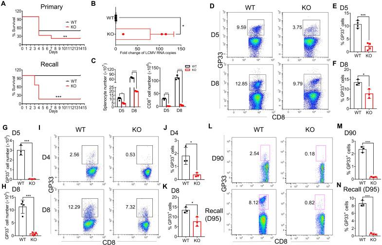 https://cdn.ncbi.nlm.nih.gov/pmc/blobs/247b/8827654/31752e7be2d1/sciadv.abk2691-f1.jpg