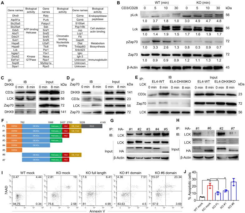https://cdn.ncbi.nlm.nih.gov/pmc/blobs/247b/8827654/64d1230d898d/sciadv.abk2691-f4.jpg
