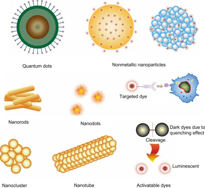 https://cdn.ncbi.nlm.nih.gov/pmc/blobs/2480/3956734/6cda1af88a45/ijn-9-1347Fig2.jpg