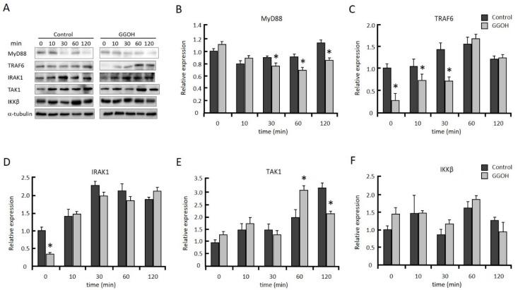 https://cdn.ncbi.nlm.nih.gov/pmc/blobs/2481/6540148/1e6173d6717d/ijms-20-02320-g003.jpg