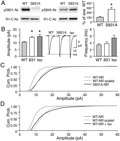 https://cdn.ncbi.nlm.nih.gov/pmc/blobs/2485/3069067/16b9adc97cc9/pone.0018264.g004.jpg