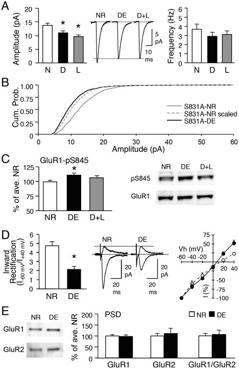 https://cdn.ncbi.nlm.nih.gov/pmc/blobs/2485/3069067/50ea7a4cb40d/pone.0018264.g006.jpg