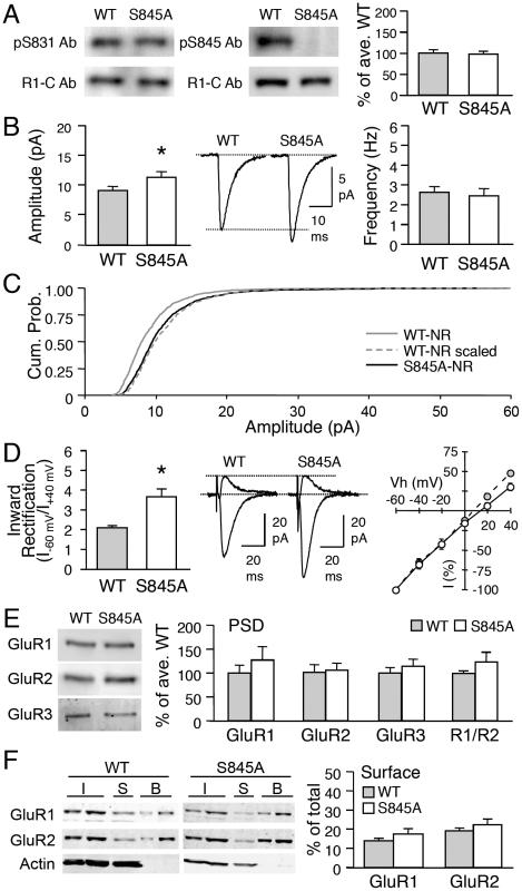 https://cdn.ncbi.nlm.nih.gov/pmc/blobs/2485/3069067/93d6f6b6b11c/pone.0018264.g002.jpg