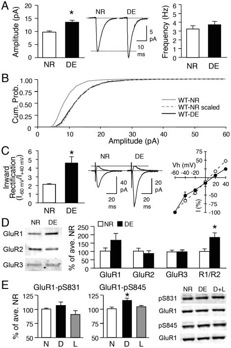 https://cdn.ncbi.nlm.nih.gov/pmc/blobs/2485/3069067/c50588a804a7/pone.0018264.g001.jpg