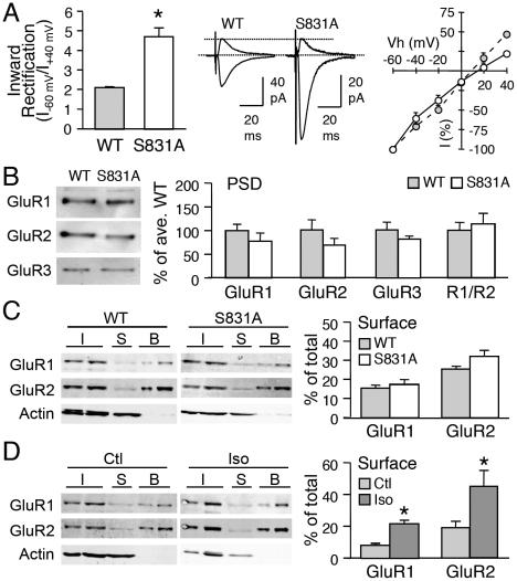 https://cdn.ncbi.nlm.nih.gov/pmc/blobs/2485/3069067/ee17307bb368/pone.0018264.g005.jpg