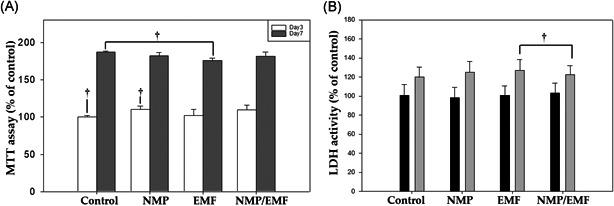 https://cdn.ncbi.nlm.nih.gov/pmc/blobs/2486/8451839/ec0030b35459/JOR-39-1633-g006.jpg