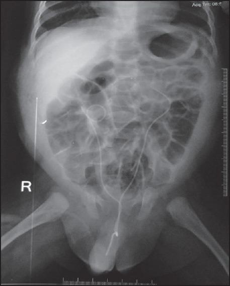 https://cdn.ncbi.nlm.nih.gov/pmc/blobs/2487/4268754/72efd54ea8f3/JIAPS-20-32-g002.jpg
