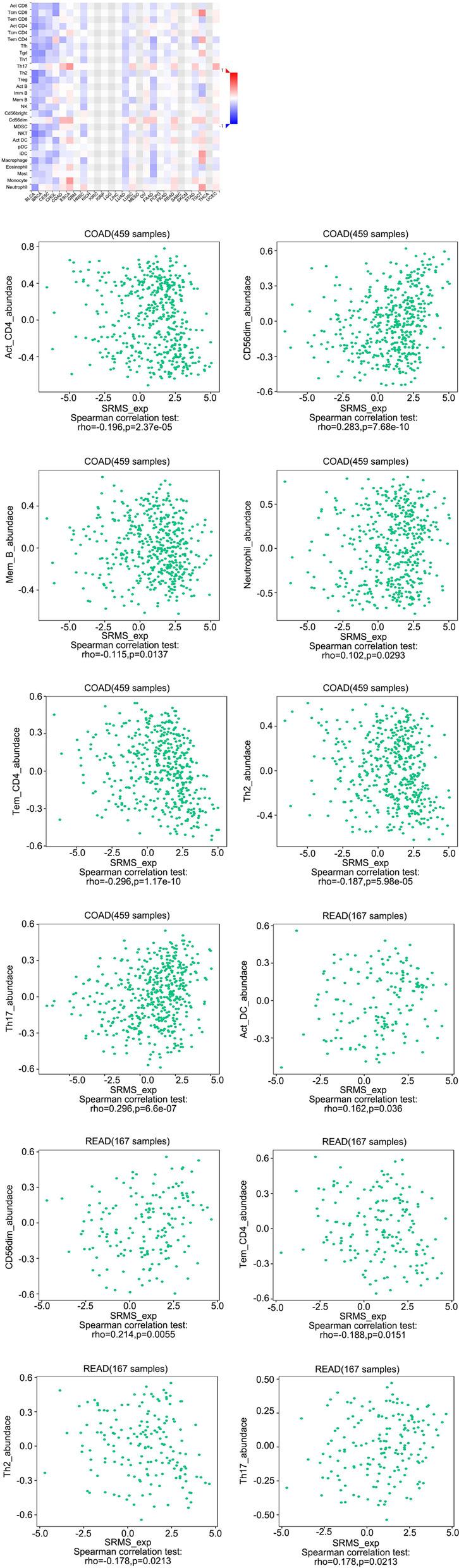 https://cdn.ncbi.nlm.nih.gov/pmc/blobs/2487/8594183/5c498510d571/12957_2021_2431_Fig5_HTML.jpg