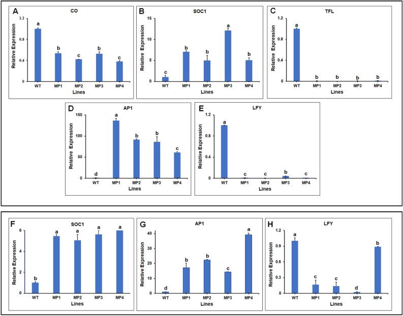 https://cdn.ncbi.nlm.nih.gov/pmc/blobs/2489/7722890/2147108b17d1/41598_2020_78417_Fig6_HTML.jpg