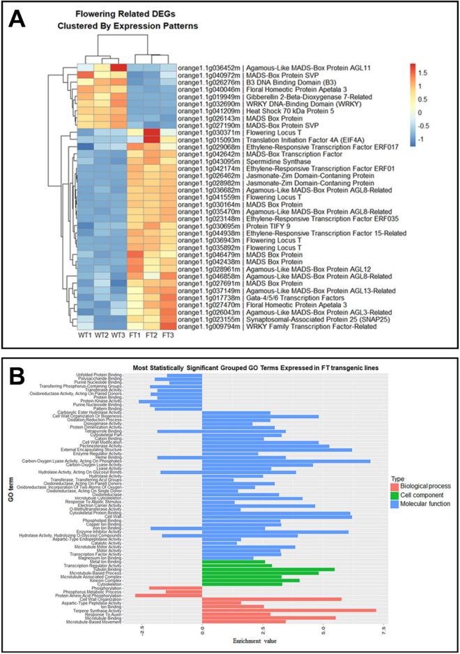https://cdn.ncbi.nlm.nih.gov/pmc/blobs/2489/7722890/eaccbfea7962/41598_2020_78417_Fig10_HTML.jpg