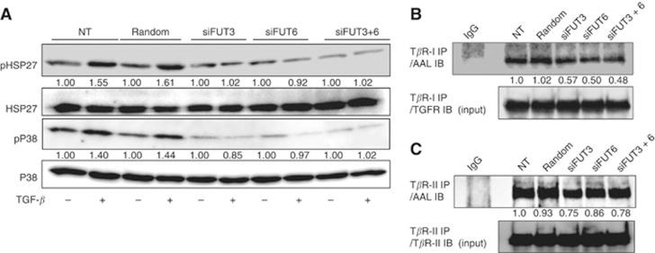 https://cdn.ncbi.nlm.nih.gov/pmc/blobs/248a/3887298/9796b4f73666/bjc2013699f4.jpg
