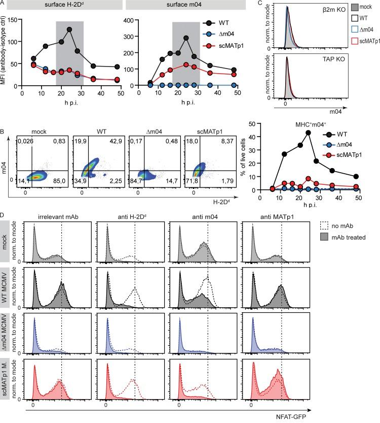 https://cdn.ncbi.nlm.nih.gov/pmc/blobs/248c/6683999/11905351aecf/JEM_20182213_Fig3.jpg