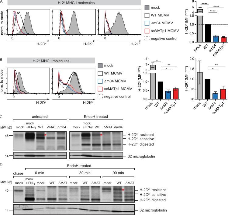 https://cdn.ncbi.nlm.nih.gov/pmc/blobs/248c/6683999/6ee98bef597b/JEM_20182213_Fig2.jpg