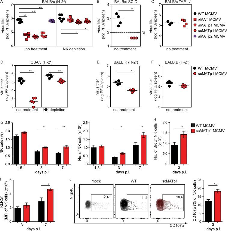 https://cdn.ncbi.nlm.nih.gov/pmc/blobs/248c/6683999/9fce455d1ec3/JEM_20182213_Fig5.jpg