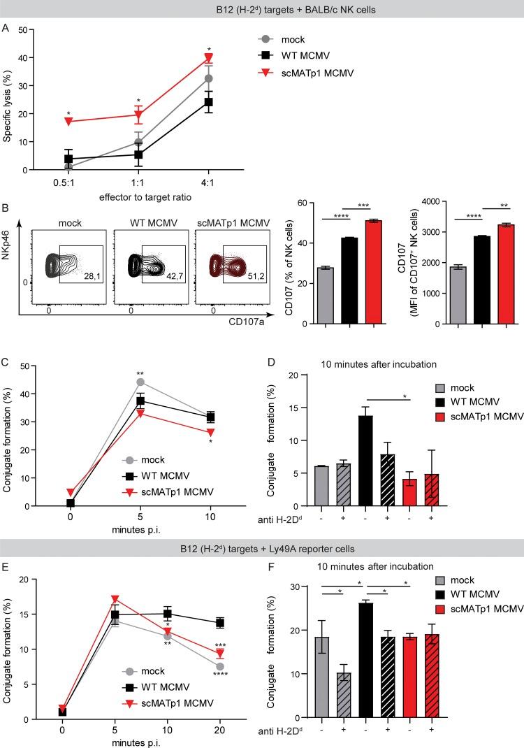 https://cdn.ncbi.nlm.nih.gov/pmc/blobs/248c/6683999/dd58d80b7cd1/JEM_20182213_Fig6.jpg