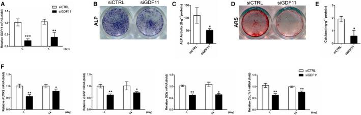 https://cdn.ncbi.nlm.nih.gov/pmc/blobs/2490/7576269/1b9f18a7a0de/JCMM-24-11457-g002.jpg