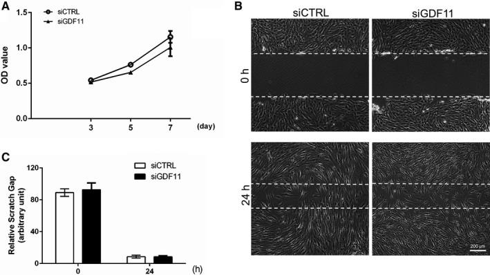 https://cdn.ncbi.nlm.nih.gov/pmc/blobs/2490/7576269/9f4459939041/JCMM-24-11457-g003.jpg