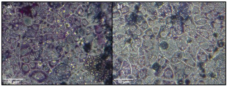 https://cdn.ncbi.nlm.nih.gov/pmc/blobs/2491/8271835/ec9b02f6198f/molecules-26-04020-g006.jpg