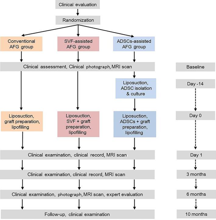 https://cdn.ncbi.nlm.nih.gov/pmc/blobs/2491/8284772/68972b56a9c7/SCT3-10-1148-g004.jpg