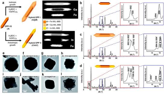 https://cdn.ncbi.nlm.nih.gov/pmc/blobs/2493/12285642/828b9c0bde74/SMTD-9-2401808-g005.jpg
