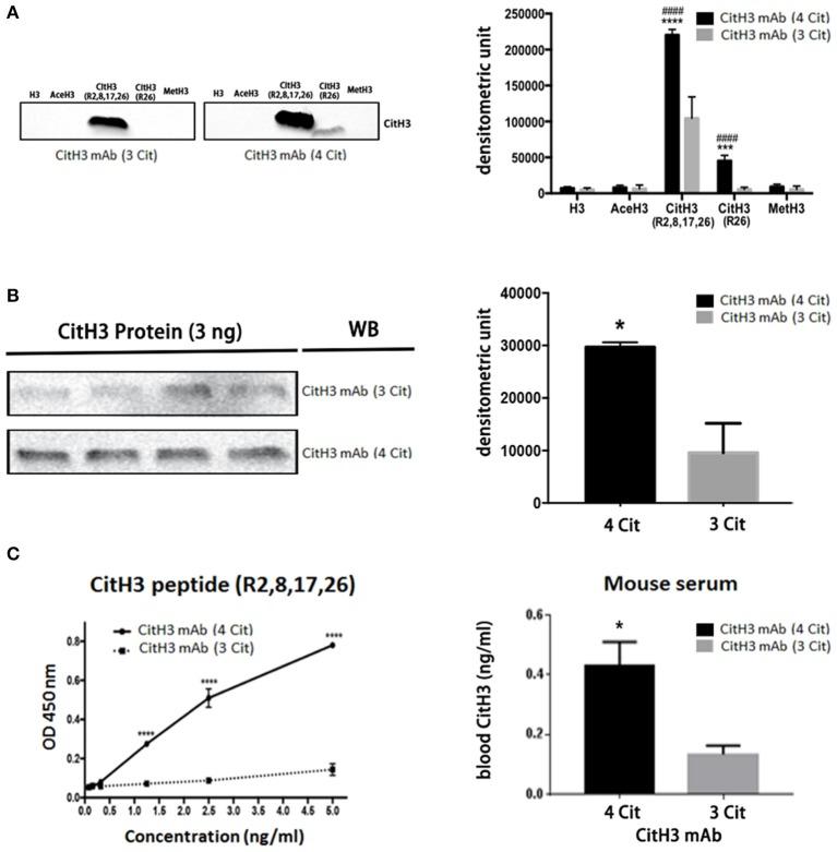 https://cdn.ncbi.nlm.nih.gov/pmc/blobs/2494/6962130/4a4396b76af9/fimmu-10-02957-g0002.jpg
