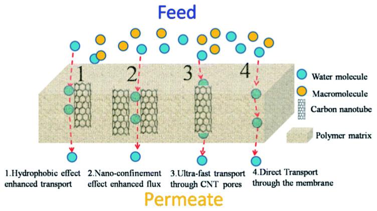 https://cdn.ncbi.nlm.nih.gov/pmc/blobs/2494/7601676/fa8a16716244/membranes-10-00273-g003.jpg