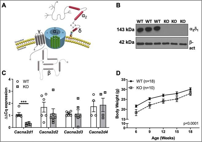 https://cdn.ncbi.nlm.nih.gov/pmc/blobs/2496/10945727/70784290c8b8/ziad008f1.jpg