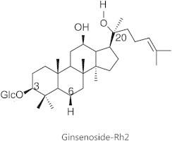 https://cdn.ncbi.nlm.nih.gov/pmc/blobs/2497/3915337/2a3ebb327ac3/gr1.jpg