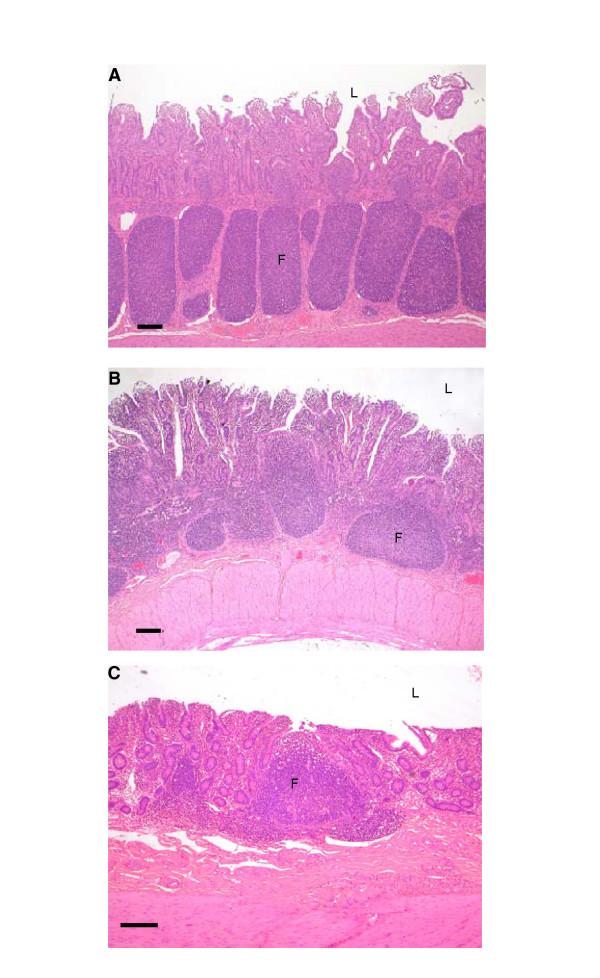 https://cdn.ncbi.nlm.nih.gov/pmc/blobs/2498/1361786/160c677e445c/1471-2334-6-5-1.jpg