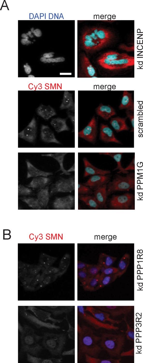 https://cdn.ncbi.nlm.nih.gov/pmc/blobs/2499/4294665/053d9266a440/161fig1.jpg