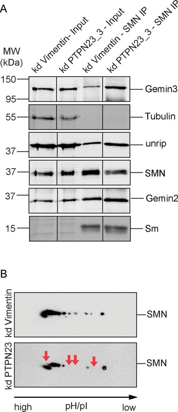 https://cdn.ncbi.nlm.nih.gov/pmc/blobs/2499/4294665/692a0938ebec/161fig6.jpg
