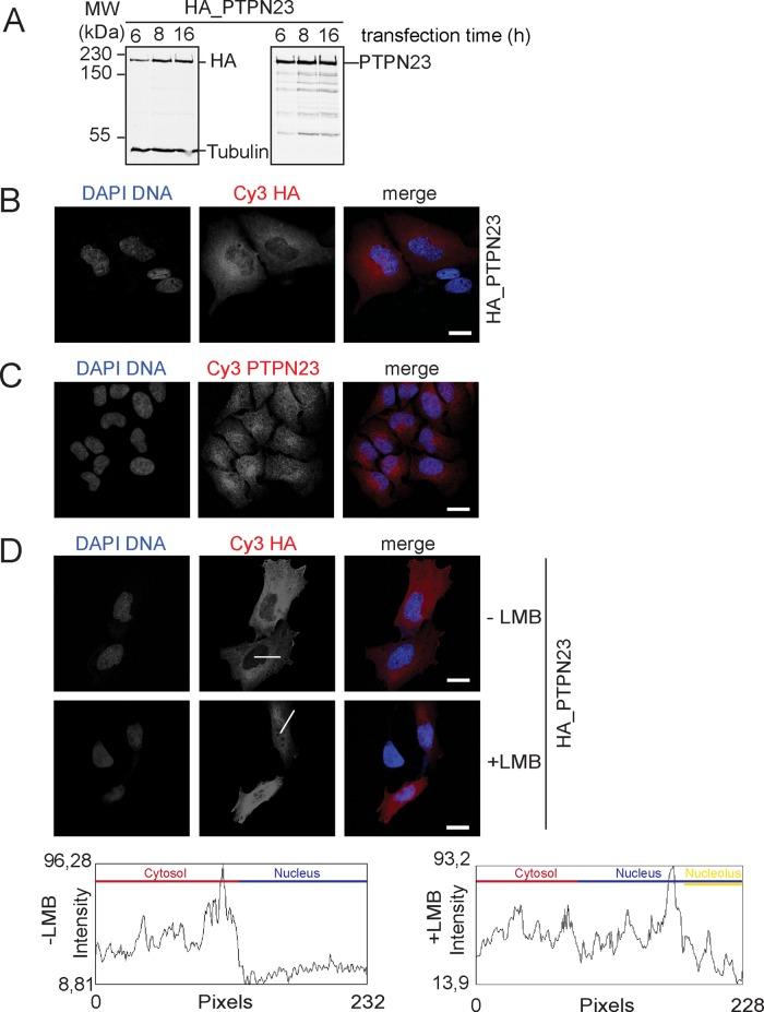 https://cdn.ncbi.nlm.nih.gov/pmc/blobs/2499/4294665/c094f43ab419/161fig5.jpg