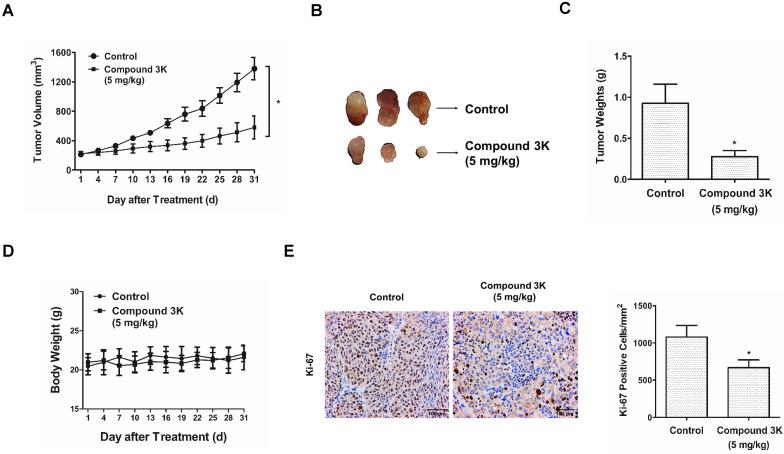 https://cdn.ncbi.nlm.nih.gov/pmc/blobs/249b/8193271/706ea9254740/ijbsv17p1895g009.jpg