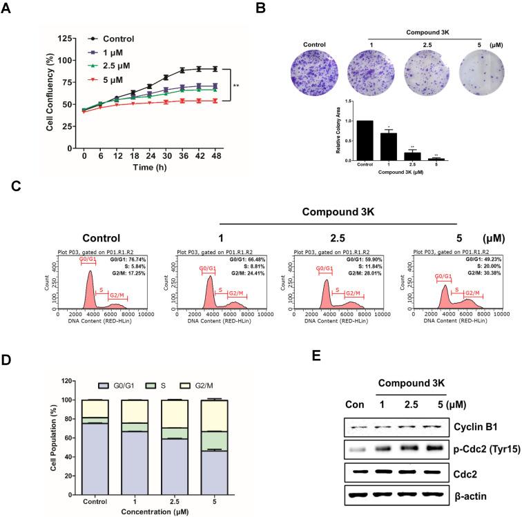 https://cdn.ncbi.nlm.nih.gov/pmc/blobs/249b/8193271/85c7b7ef8e4d/ijbsv17p1895g004.jpg