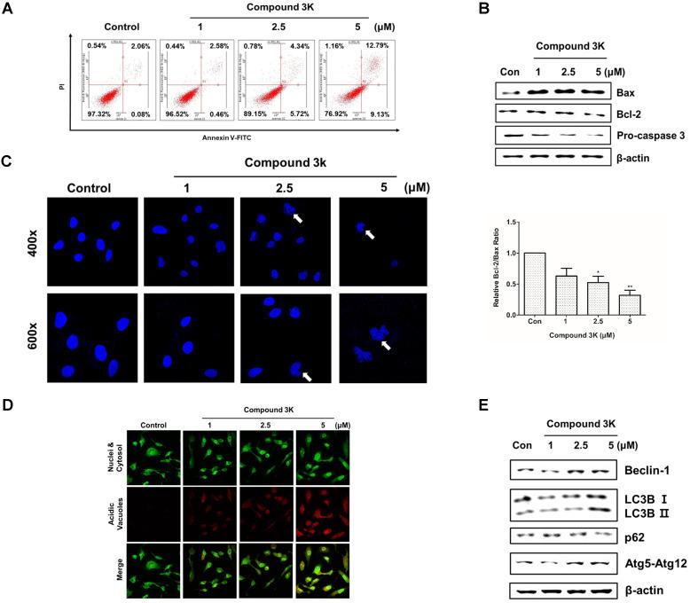 https://cdn.ncbi.nlm.nih.gov/pmc/blobs/249b/8193271/d1b1ee5681ae/ijbsv17p1895g006.jpg