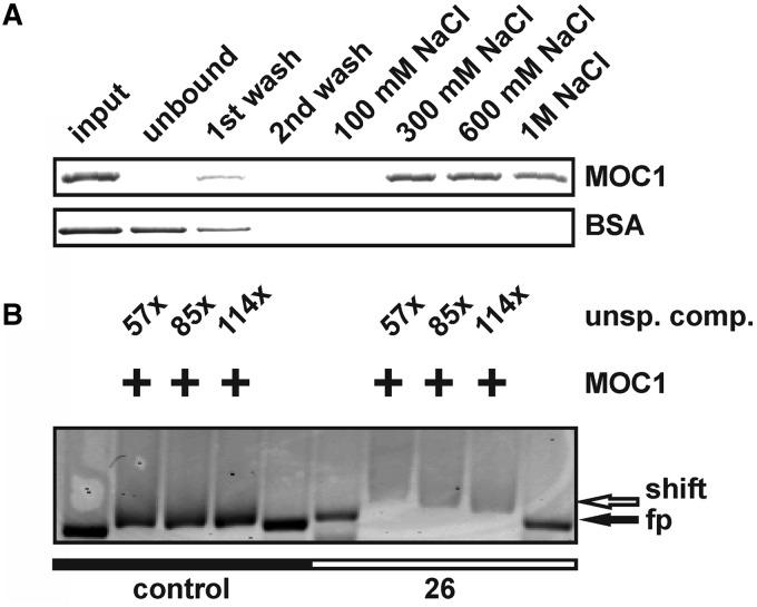 https://cdn.ncbi.nlm.nih.gov/pmc/blobs/249c/3711419/d7693b01289e/gkt313f2p.jpg