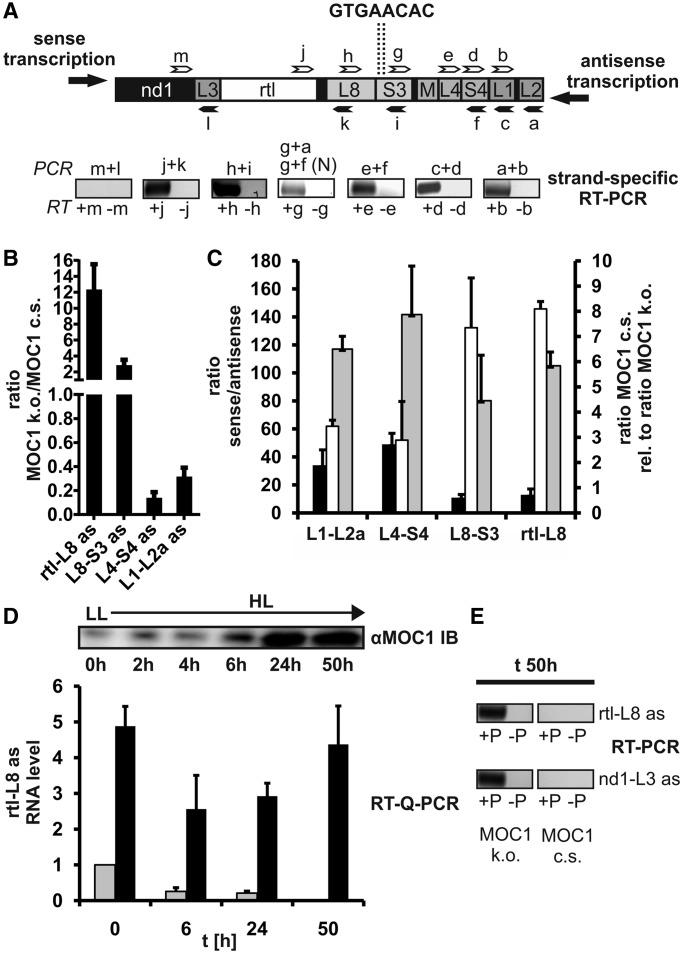 https://cdn.ncbi.nlm.nih.gov/pmc/blobs/249c/3711419/ea4684124740/gkt313f5p.jpg
