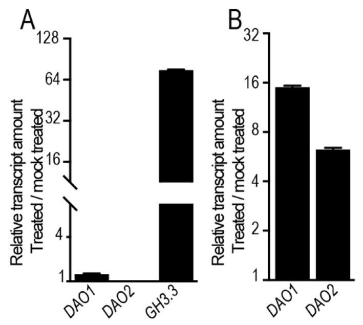 https://cdn.ncbi.nlm.nih.gov/pmc/blobs/249c/6769753/270d7143daa6/ijms-20-04428-g002.jpg