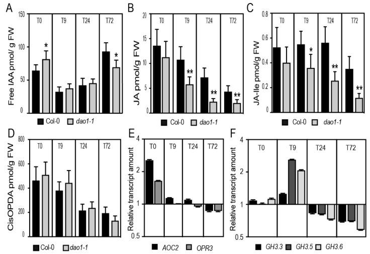 https://cdn.ncbi.nlm.nih.gov/pmc/blobs/249c/6769753/a24bdb521408/ijms-20-04428-g004.jpg