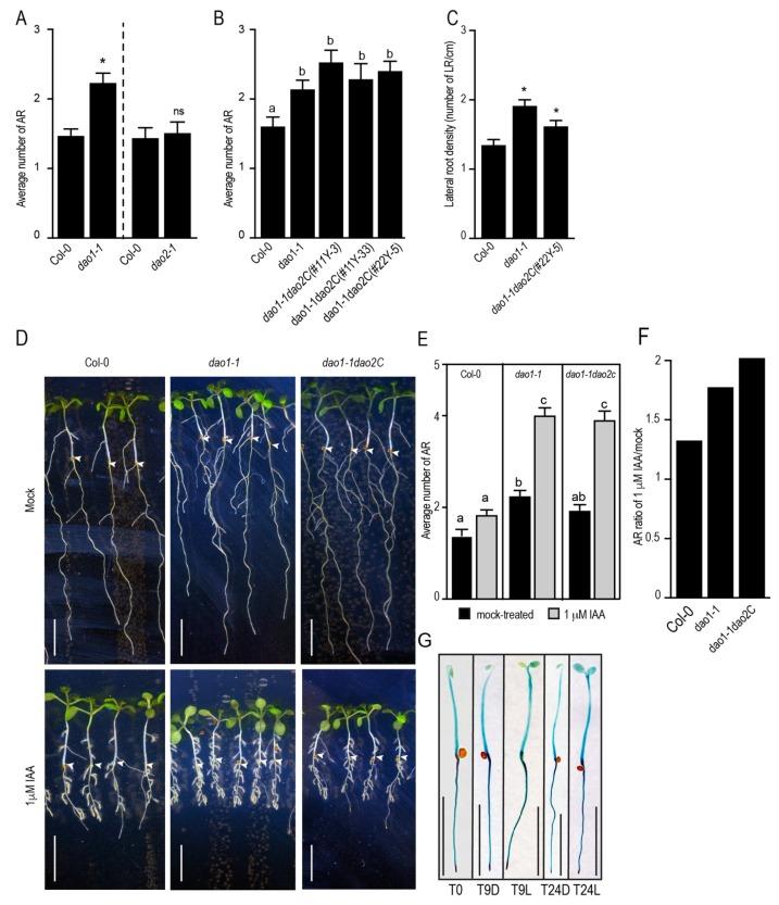 https://cdn.ncbi.nlm.nih.gov/pmc/blobs/249c/6769753/fb5f2e1c1968/ijms-20-04428-g003.jpg