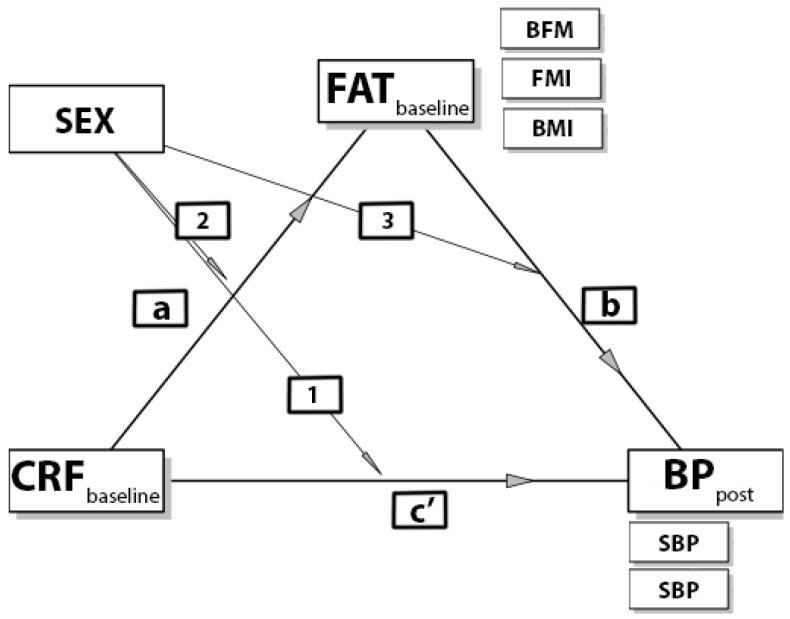 https://cdn.ncbi.nlm.nih.gov/pmc/blobs/249c/8834818/3adccb16bcef/ijerph-19-01698-g002.jpg