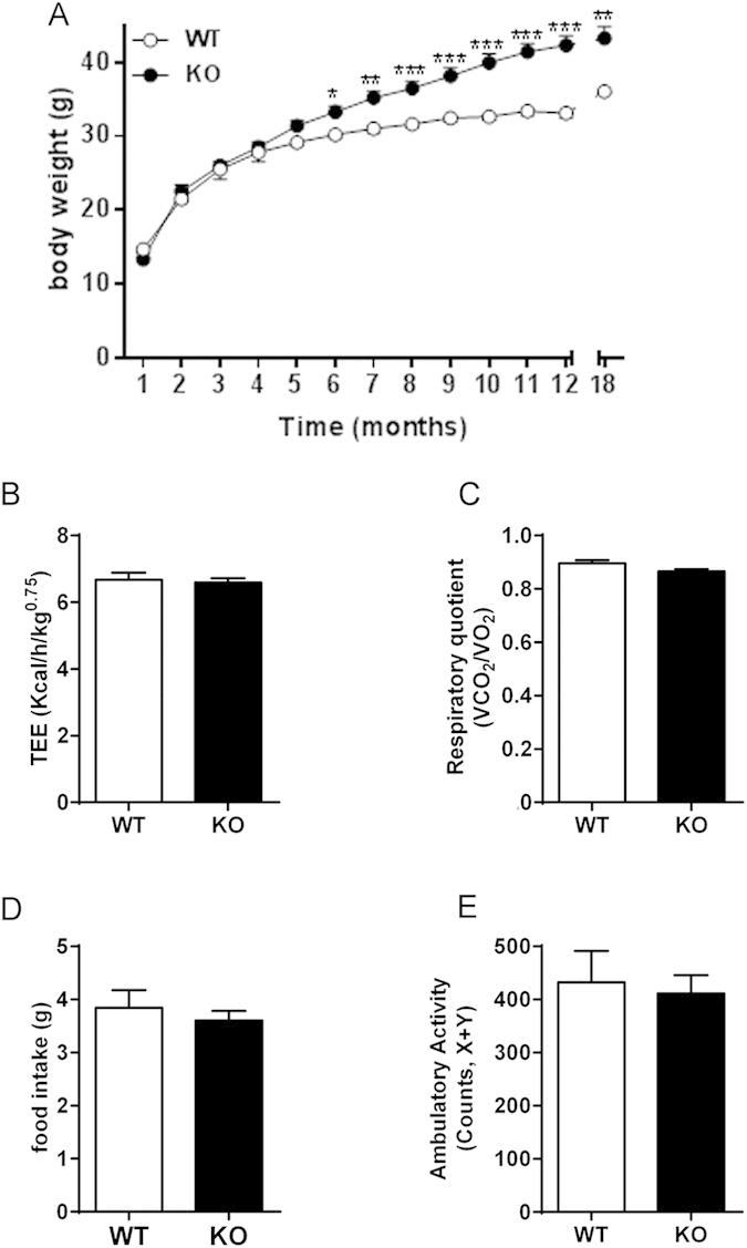 https://cdn.ncbi.nlm.nih.gov/pmc/blobs/249f/4601089/c2f44b0b0b6d/srep14953-f3.jpg